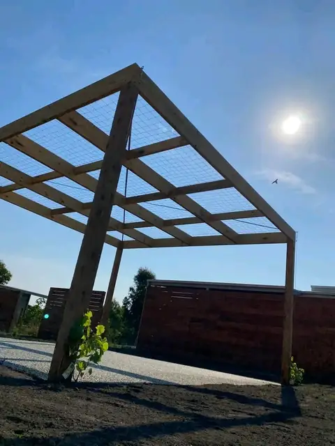 Pond, pergola and lit timber steps in a landscaped garden (4 of 8)