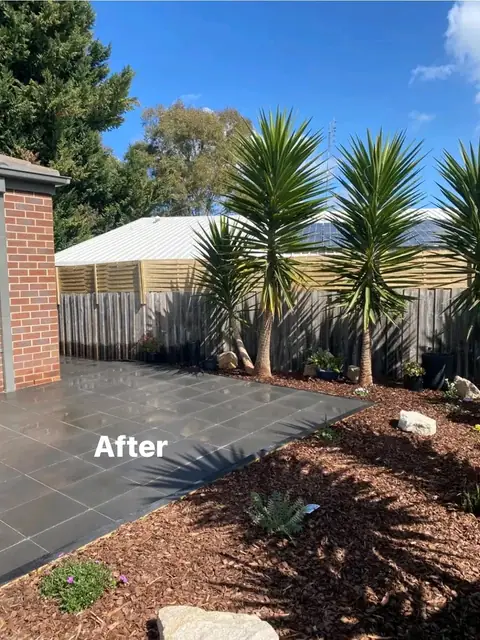 Paved side yard with yuccas, timber edging and garden beds