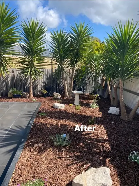 Paved side yard with yuccas, timber edging and garden beds (2 of 9)