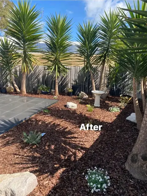 Paved side yard with yuccas, timber edging and garden beds (3 of 9)