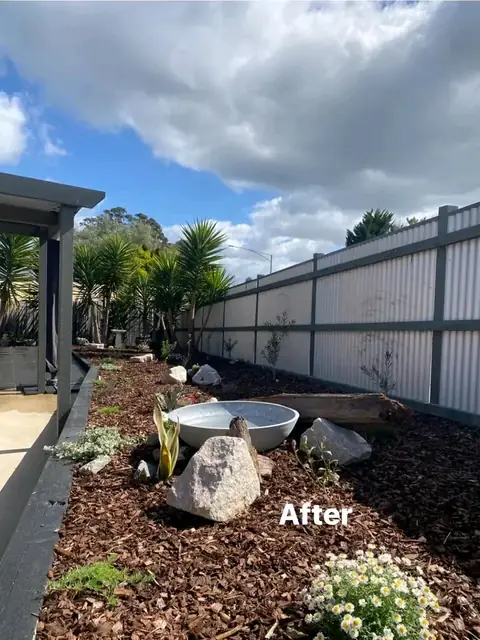 Paved side yard with yuccas, timber edging and garden beds (5 of 9)