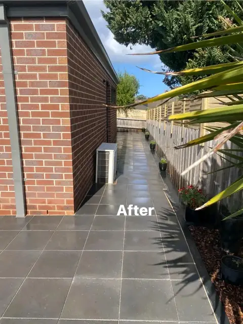 Paved side yard with yuccas, timber edging and garden beds (7 of 9)