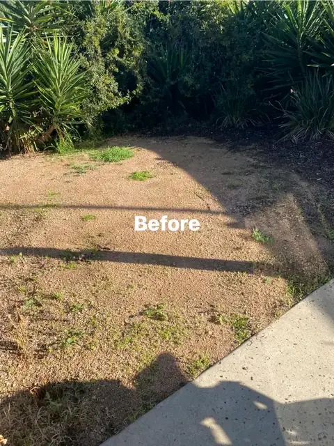 Paved side yard with yuccas, timber edging and garden beds (9 of 9)