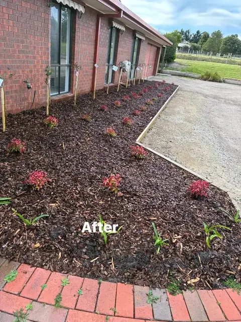 Feature-rock turning circle, new fence and a drainage trench (5 of 6)