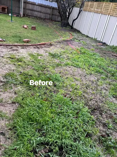 Refreshed yard with pergola, charcoal paving and mulched garden beds (8 of 8)