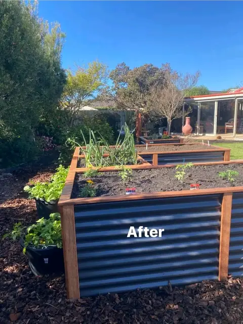 Raised corrugated veggie beds after a garden makeover