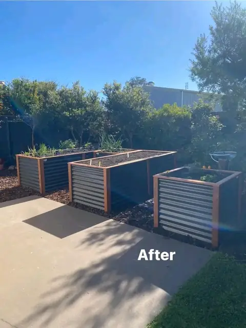 Raised corrugated veggie beds after a garden makeover (2 of 7)