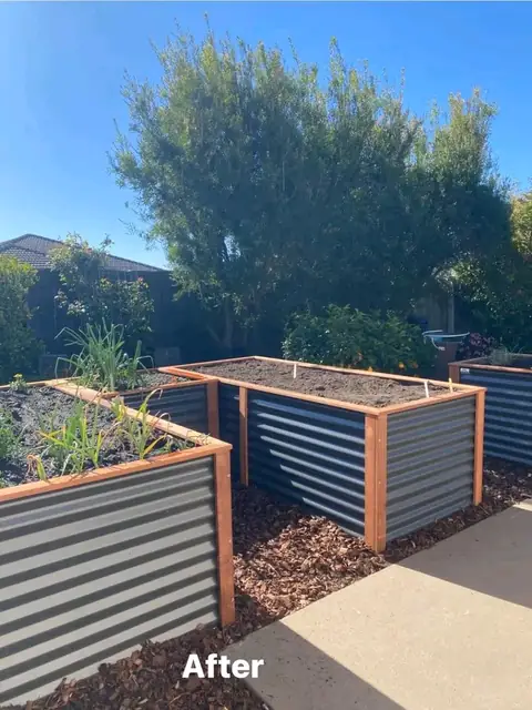 Raised corrugated veggie beds after a garden makeover (3 of 7)