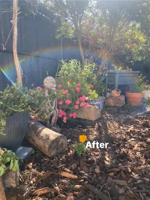 Raised corrugated veggie beds after a garden makeover (4 of 7)