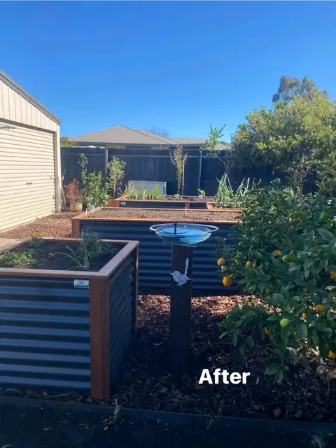 Raised corrugated veggie beds after a garden makeover (5 of 7)
