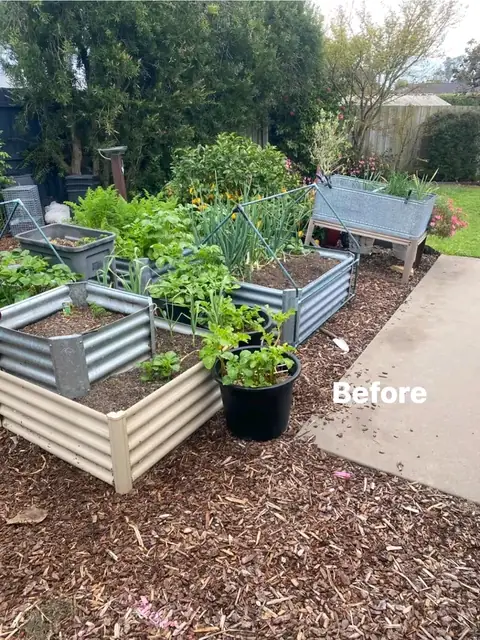 Raised corrugated veggie beds after a garden makeover (7 of 7)